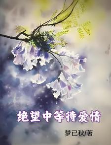 蓝花楹的花语在绝望中等待爱情