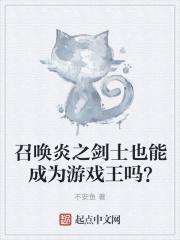 游戏王炎之剑豪