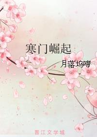 寒门崛起朱平安笔趣阁免费