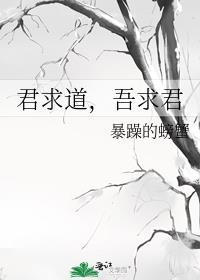 君求道吾求君完结了吗