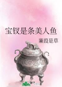 宝钗是主人还是仆人