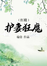 红楼护妻狂魔沈鼎