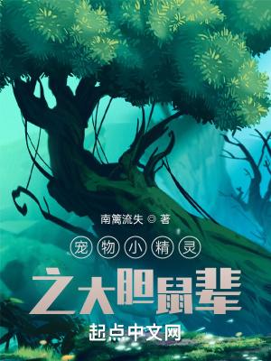 宠物小精灵之大师崛起