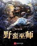 野蛮巫师普尔曼之影